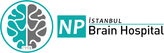 Npistanbul Logo