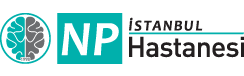 Npistanbul Logo