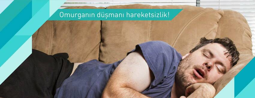 Inactivity is the enemy of the spine!