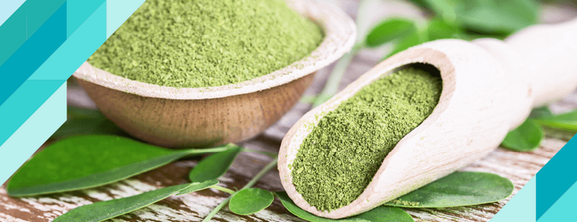 What is Moringa, What are the Benefits of Moringa Tea?