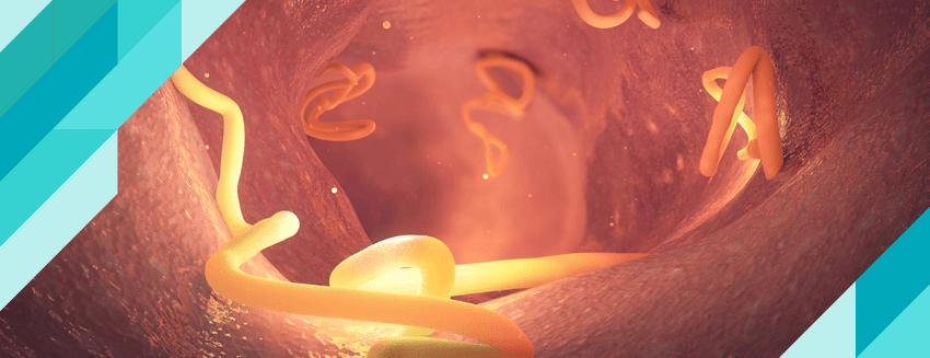 What is Intestinal Worm? Why Does It Happen?