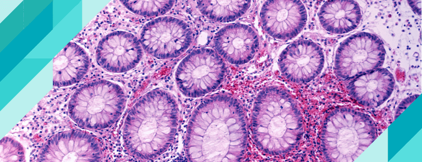 What is Dichloron?