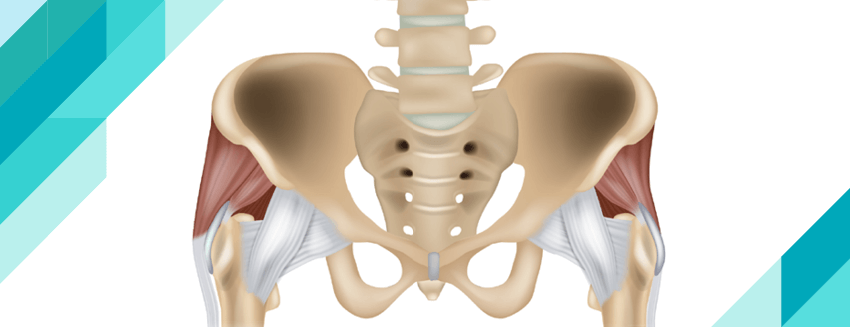 What is Avascular Necrosis of the Hip? Why is it Important?