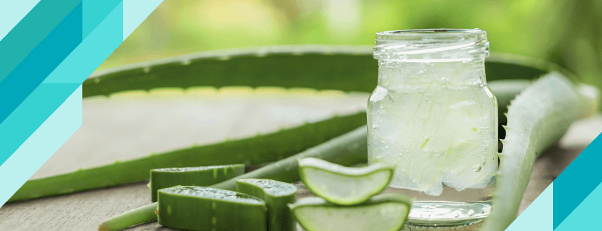 Aloe Vera Nedir?