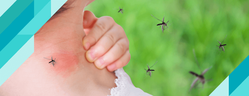 Как передается укус комара Aedes?