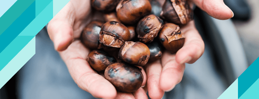 What are the Benefits of Chestnut?