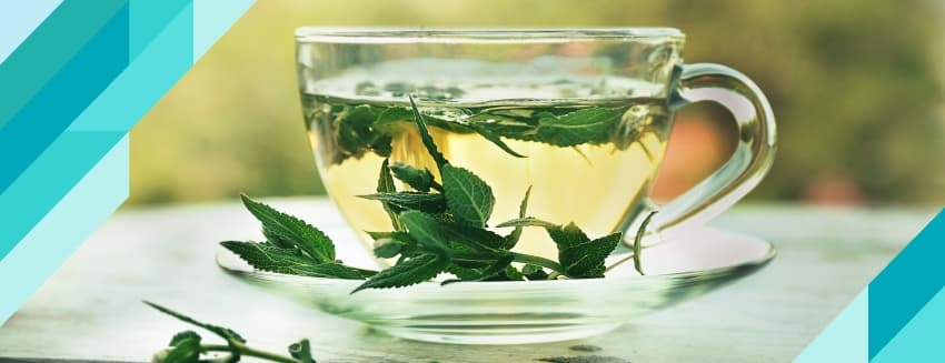 What are the benefits and harms of sage tea?