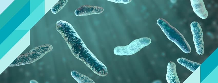 What is a Bartholin Cyst?