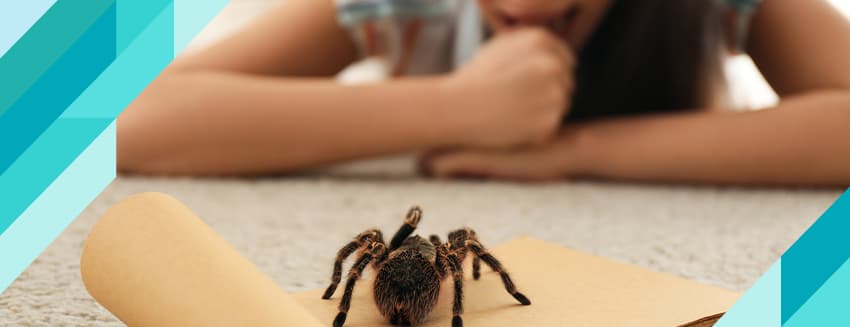 What is the fear of spiders (arachnophobia) and how does it go away?