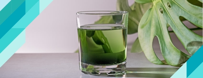 What is Chlorophyll? What are the Benefits?