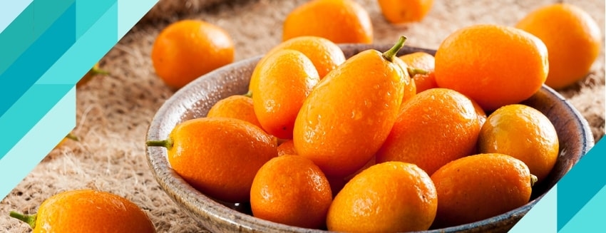 What is Kumquat (Kumquat)? What are the Benefits?