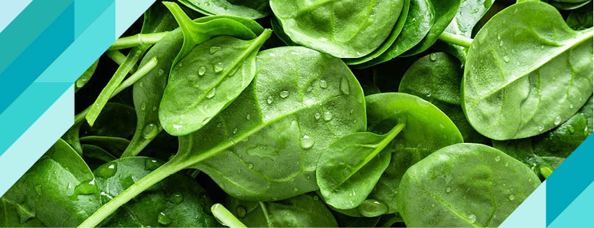 What are the Benefits of Spinach?