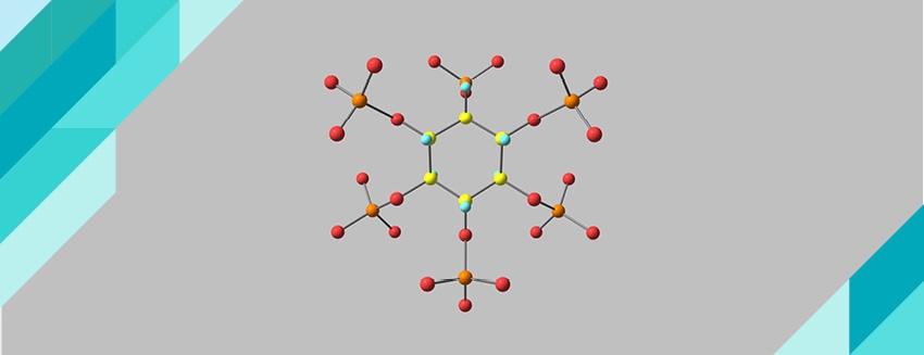 What is Phytic Acid?