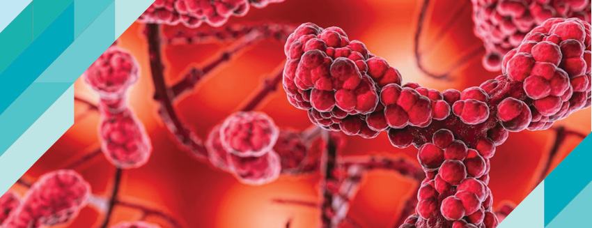 What is Multiple Myeloma?