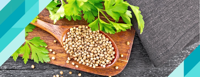 What are the Benefits of Coriander?