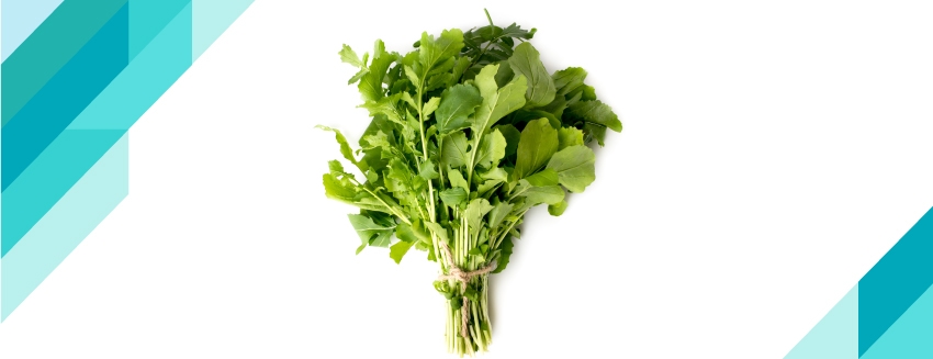 What are the Benefits of Arugula?