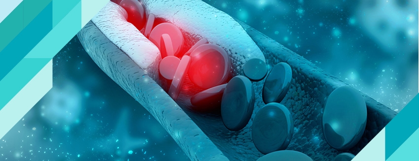 What is HDL Cholesterol?