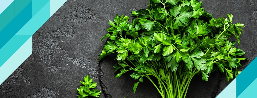 What are the Benefits of Parsley?