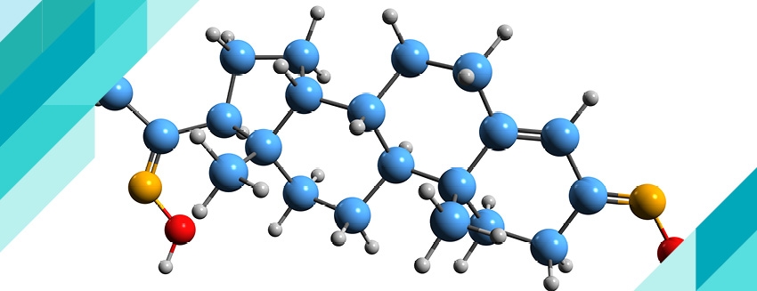 What is the hormone progesterone?