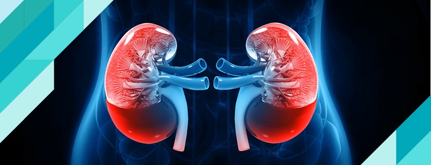 What is Kidney Enlargement (Hydronephrosis)?