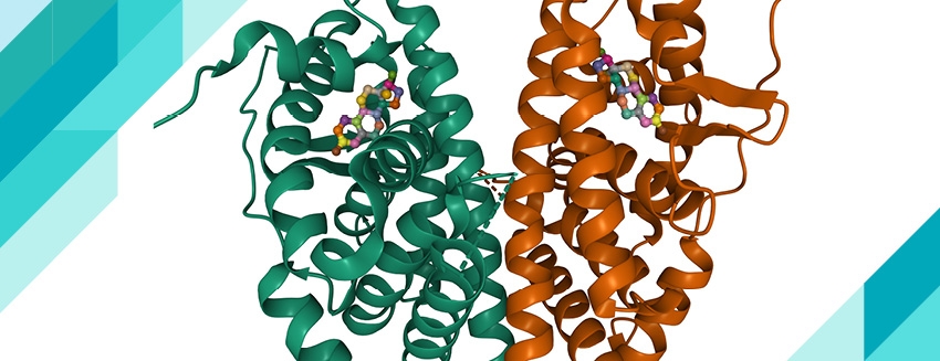 What is Estradiol and How Much Estradiol Should I Have?