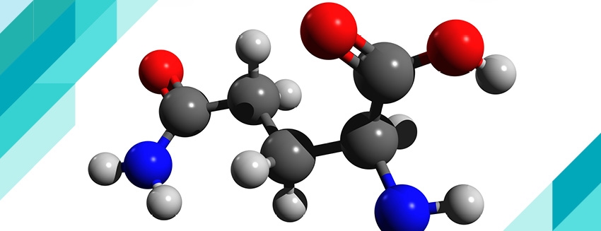 Glutamin Nedir? Faydaları Nelerdir?