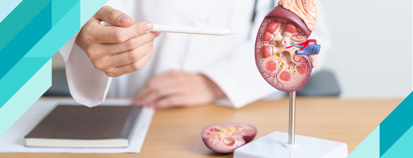 Kidney Disease Symptoms