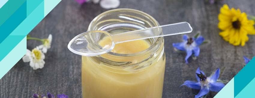 Arı Sütünün Faydaları Nelerdir