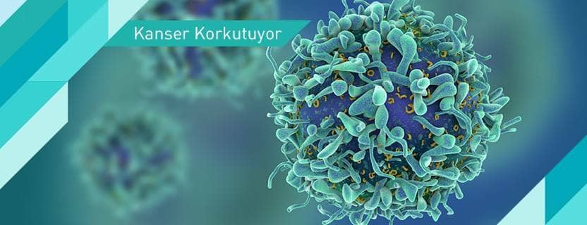 Kanserden Korunma Yolları