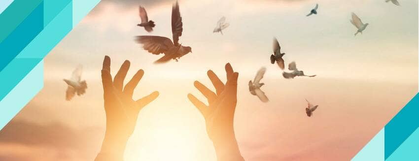 Духовная детоксикация Рамадан