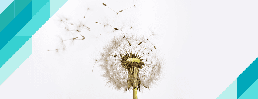 Polen Alerjisi Nedir, Belirtileri Nelerdir?