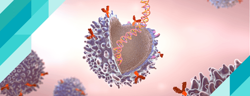 ما هو ارتفاع كريات الدم البيضاء؟