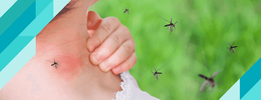 Aedes Sivrisinek Isırığı Nasıl Geçer?