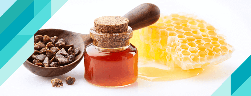 Propolis Nedir?