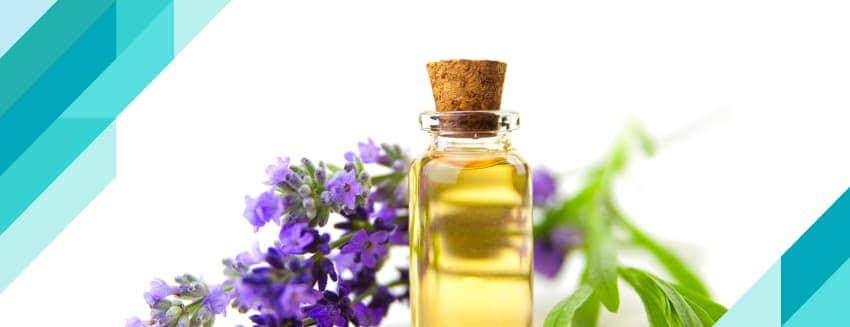 Каковы преимущества масла лаванды?