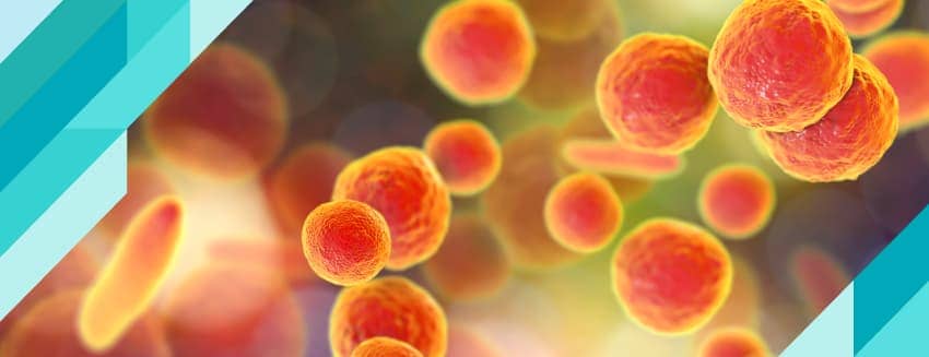 Ureaplasma Nedir? Nasıl Tedavi Edilir?