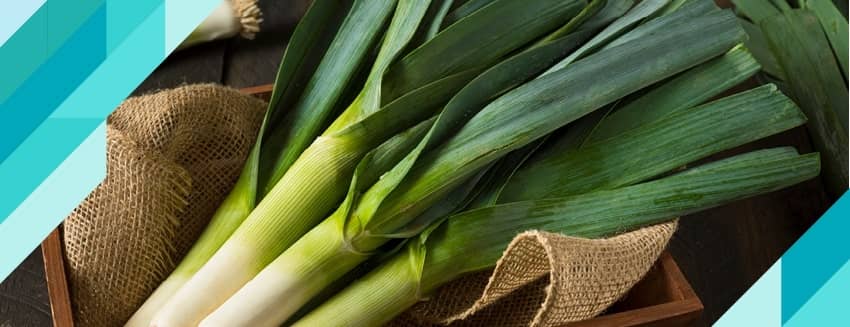 Чем полезен лук-порей?