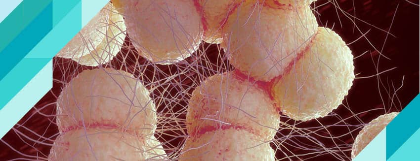 Bel Soğukluğu (Gonore) Nedir?