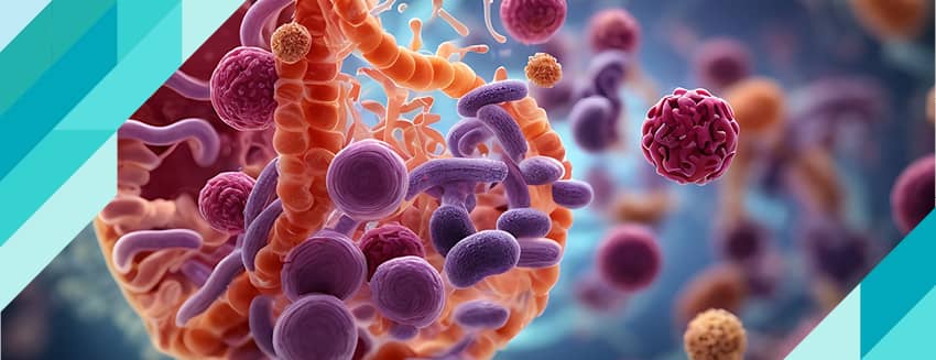 Parazit Nedir? Neden Oluşur?