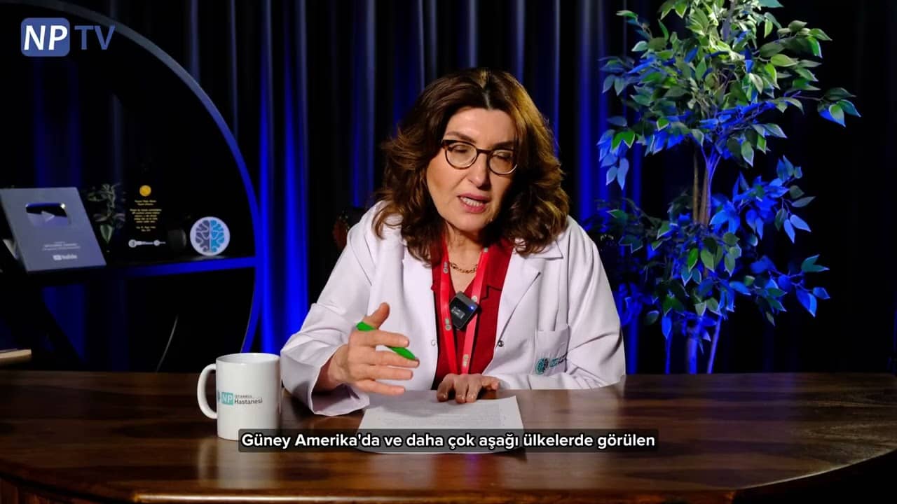 Hanta Virüs Nasıl Bulaşır? | Bilgilendirme