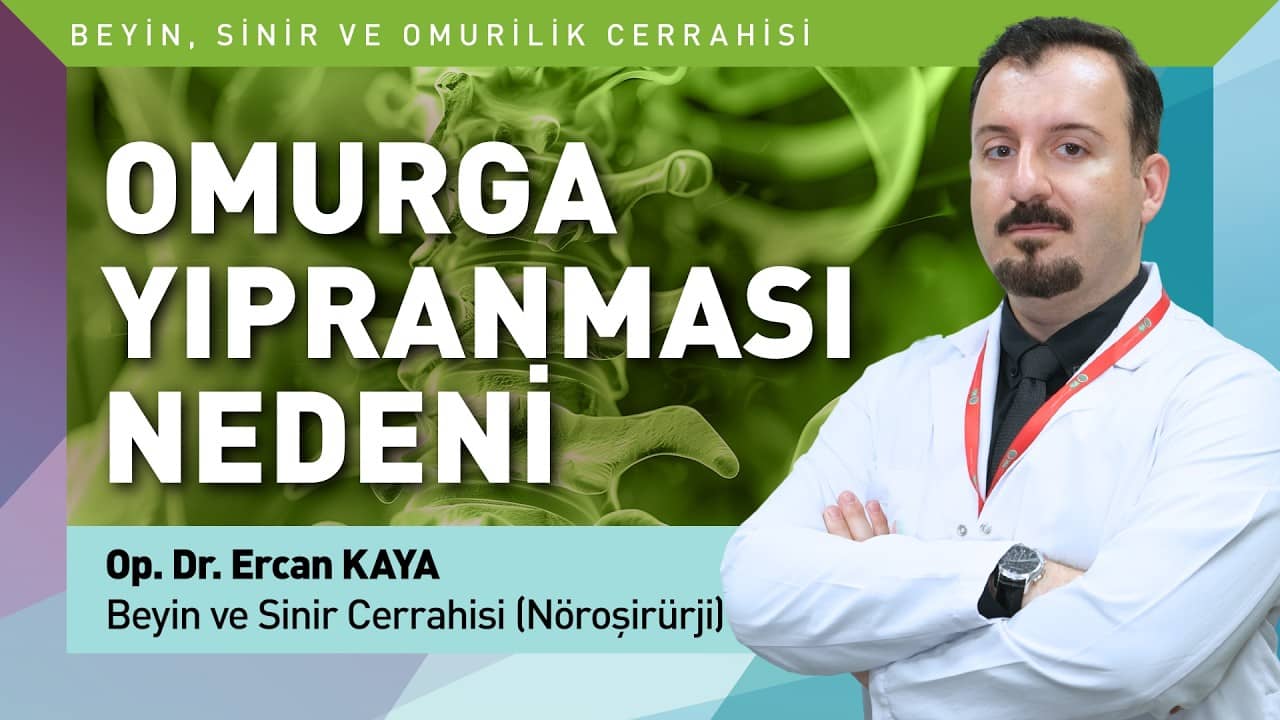 Omurga Yıpranması Neden Olur? (Bilgilendirme Videosu)