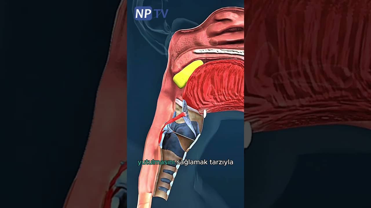 #shorts Yutulabilir Mide Balonu Nedir?