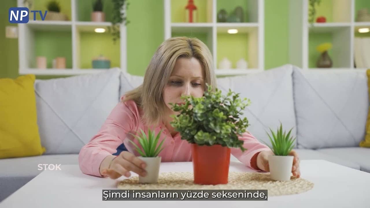 OKB Belirtilerini Anlamak: Psikiyatri Bilgilendirme Serisi