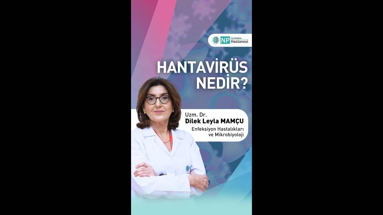 Hantavirüs Nedir?