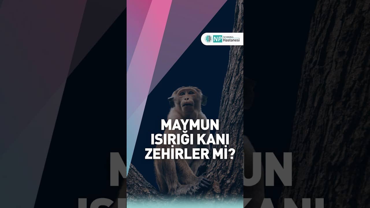 Maymun ısırığı kanı zehirler mi?