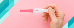 How to Take a Pregnancy Test?