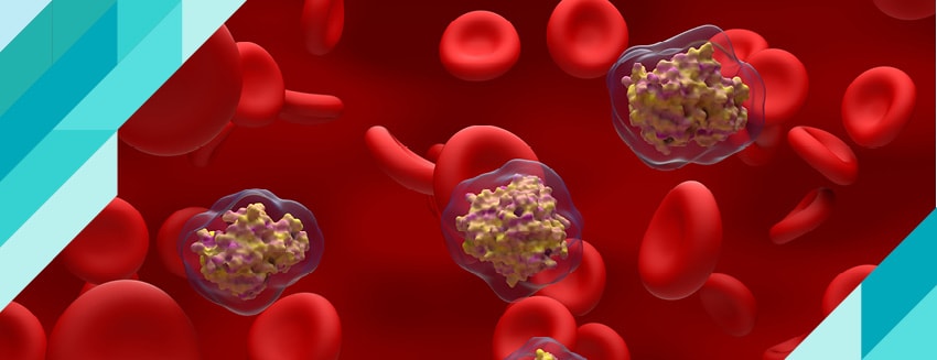 Oksitosin Nedir?