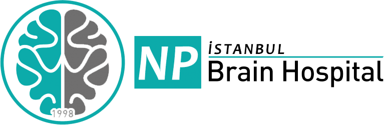Npistanbul Logo
