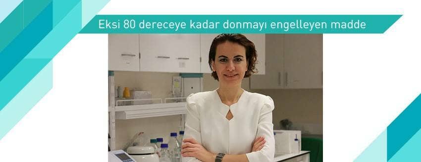 Eksi 80 dereceye kadar donmayı engelleyen madde