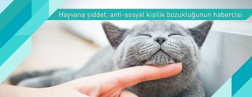 Hayvana şiddet, anti-sosyal kişilik bozukluğunun habercisi